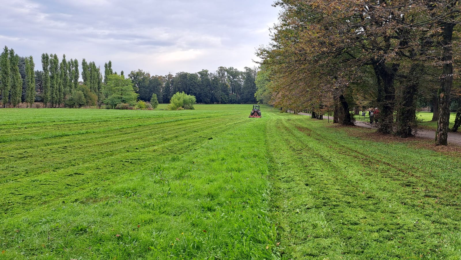 CS_007/25 Nuovo appalto per il verde comunale: un progetto innovativo all’insegna della cura e della tutela dell’ambiente