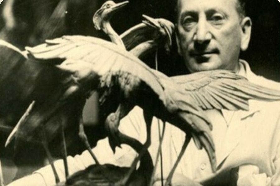 Il Museo Renato Brozzi nella rassegna 