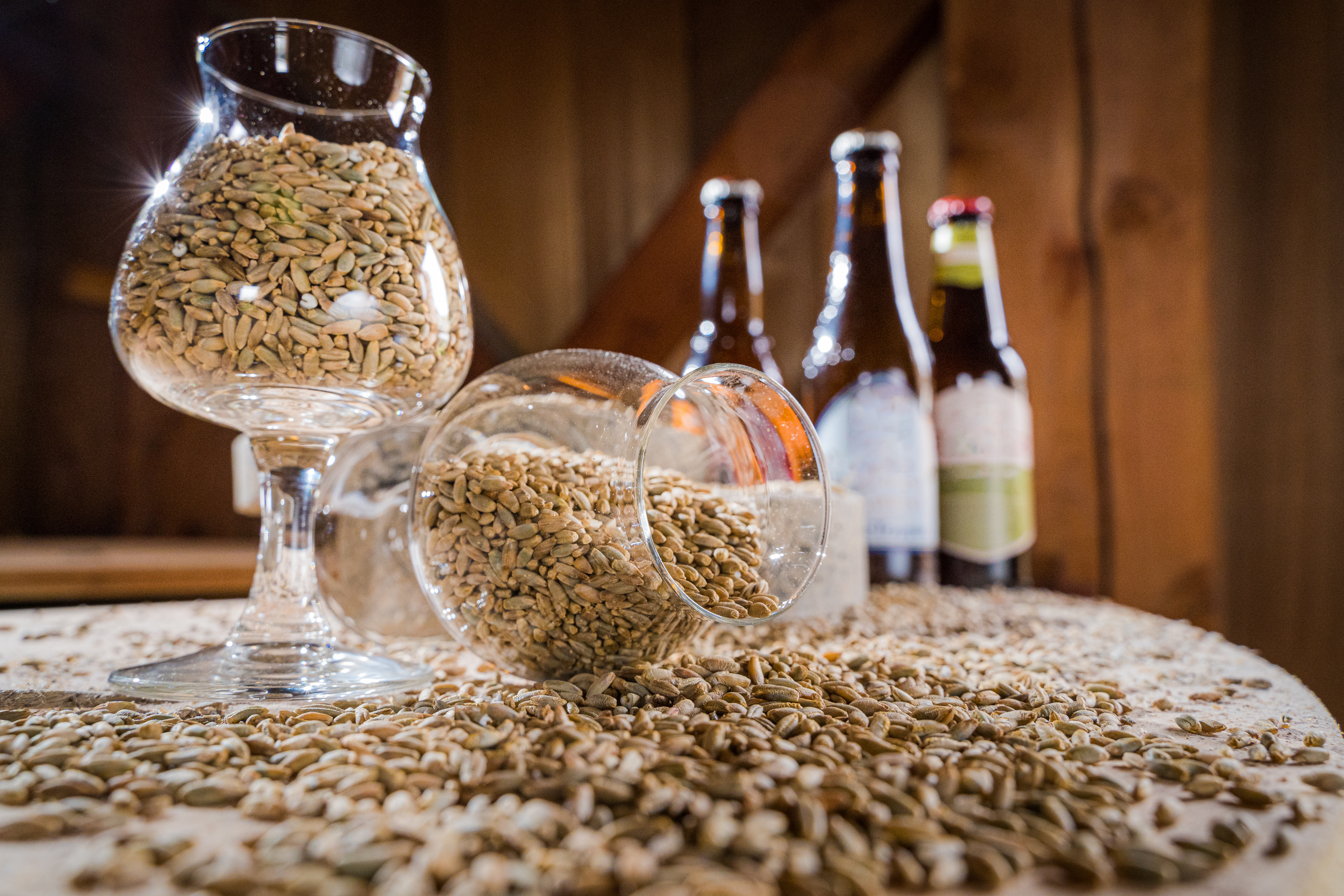 1° Ciclo Degustazione birra