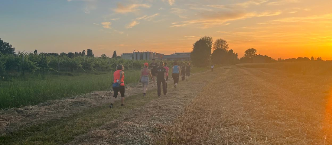 Camminata all'imbrunire
