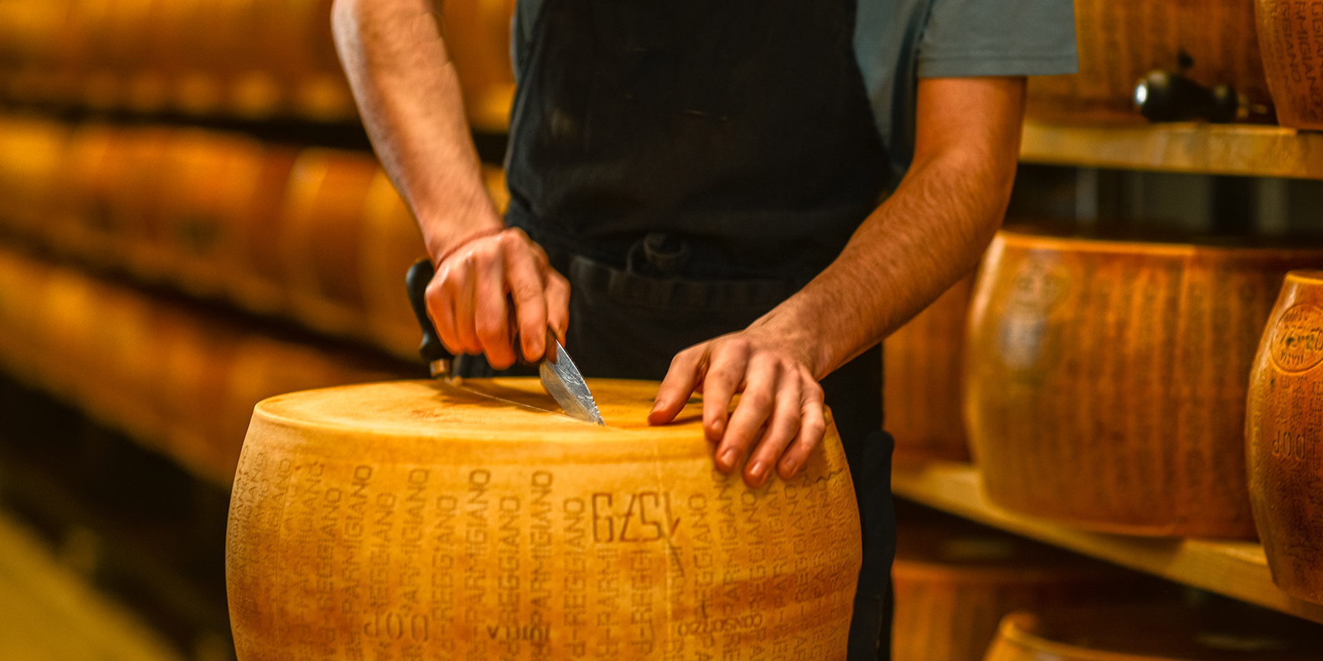 L'allevamento delle bovine da latte per la produzione di Parmigiano-Reggiano