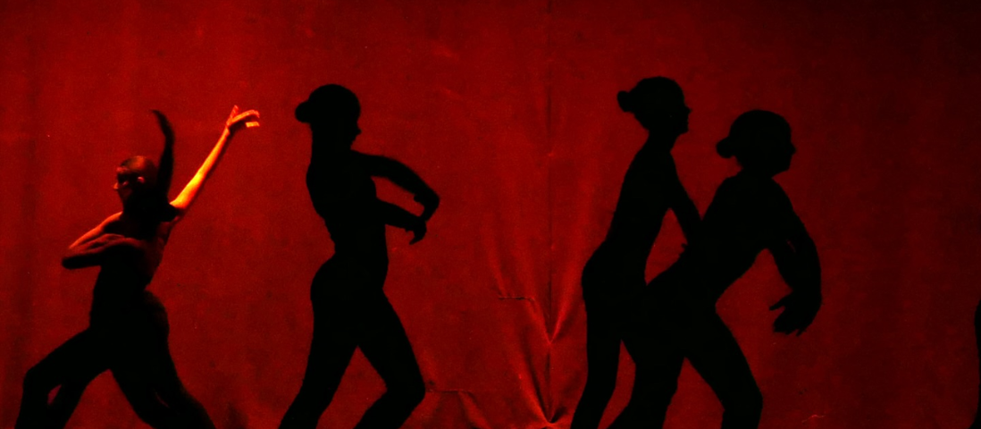 Surya dance, 40 anni insieme 