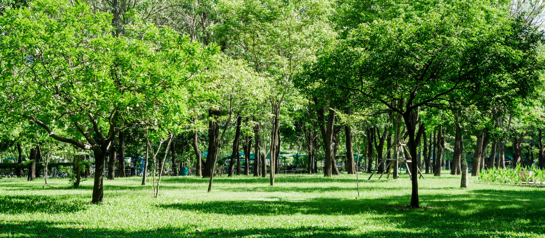 Voci del Bosco - Mostra sui boschi urbani 