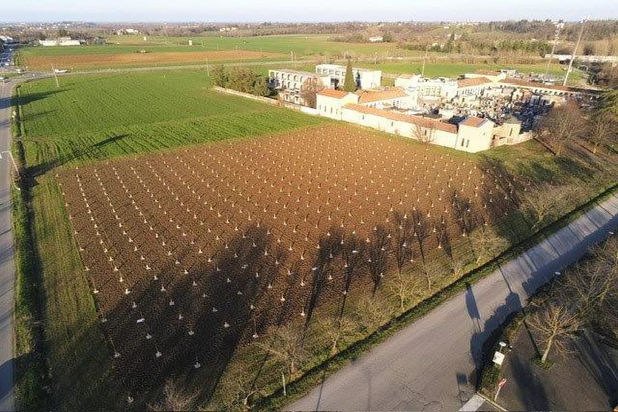 Inaugurazione del Bosco Urbano in via Bora