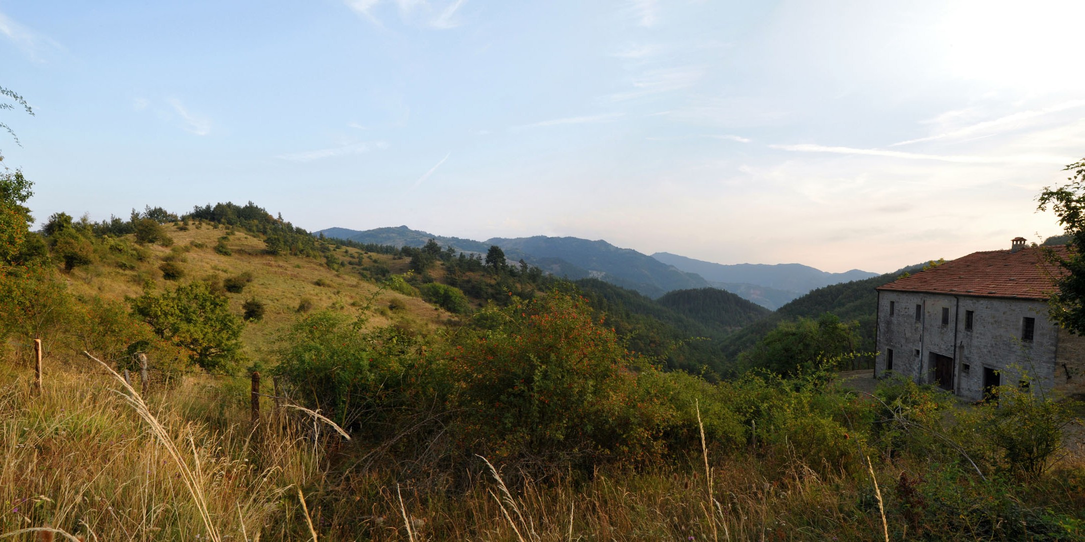 'Invito a dopo cena con delitto'