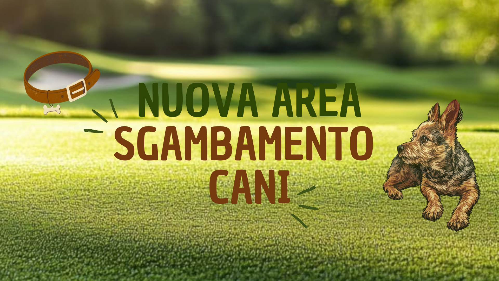 Nuova area di sgambamento cani a Madregolo