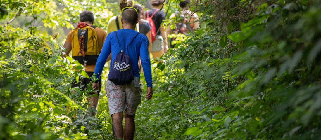 Ortocentro creativo - Andar per erbe: passeggiata in natura scoprendo le erbe e le loro proprietà 