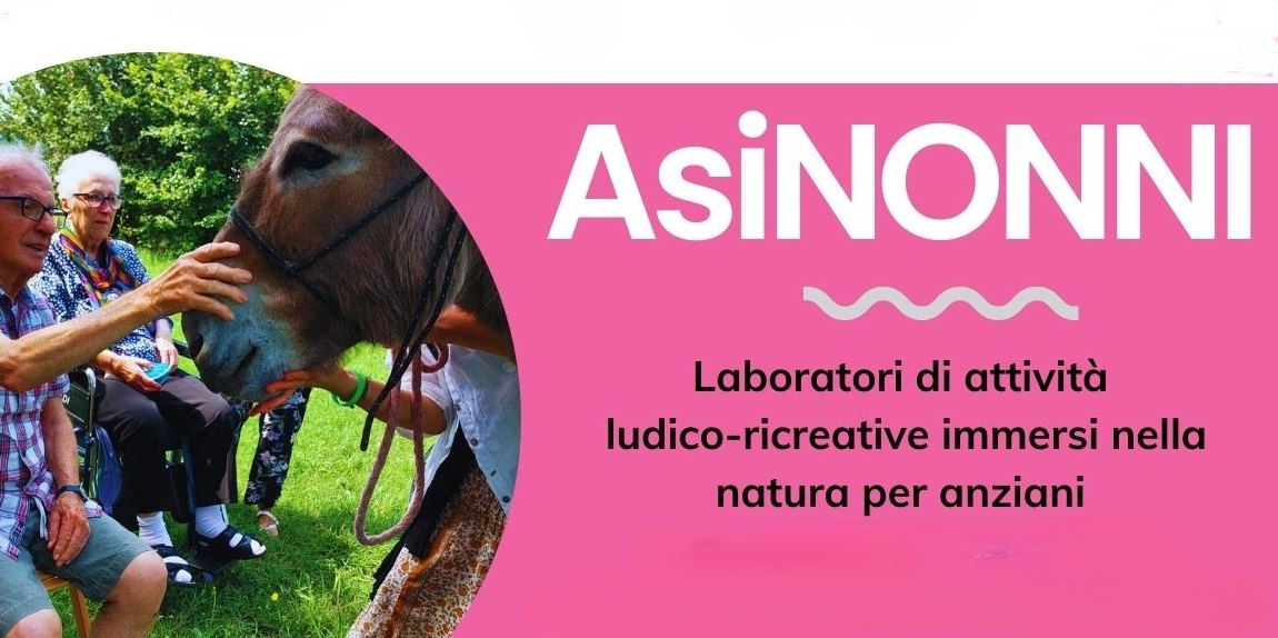AsiNonni