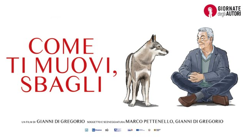 'Come ti muovi, sbagli'