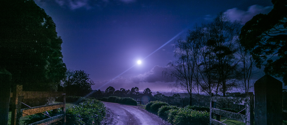 Camminata al chiar di luna