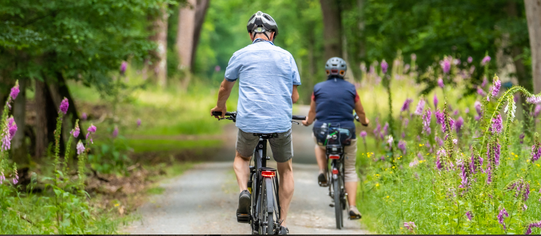 20° Pedalata contro l’Alzheimer