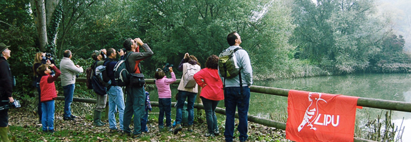 Giornata dell'Albero – Passeggiata lungo i sentieri dell’Oasi Lipu