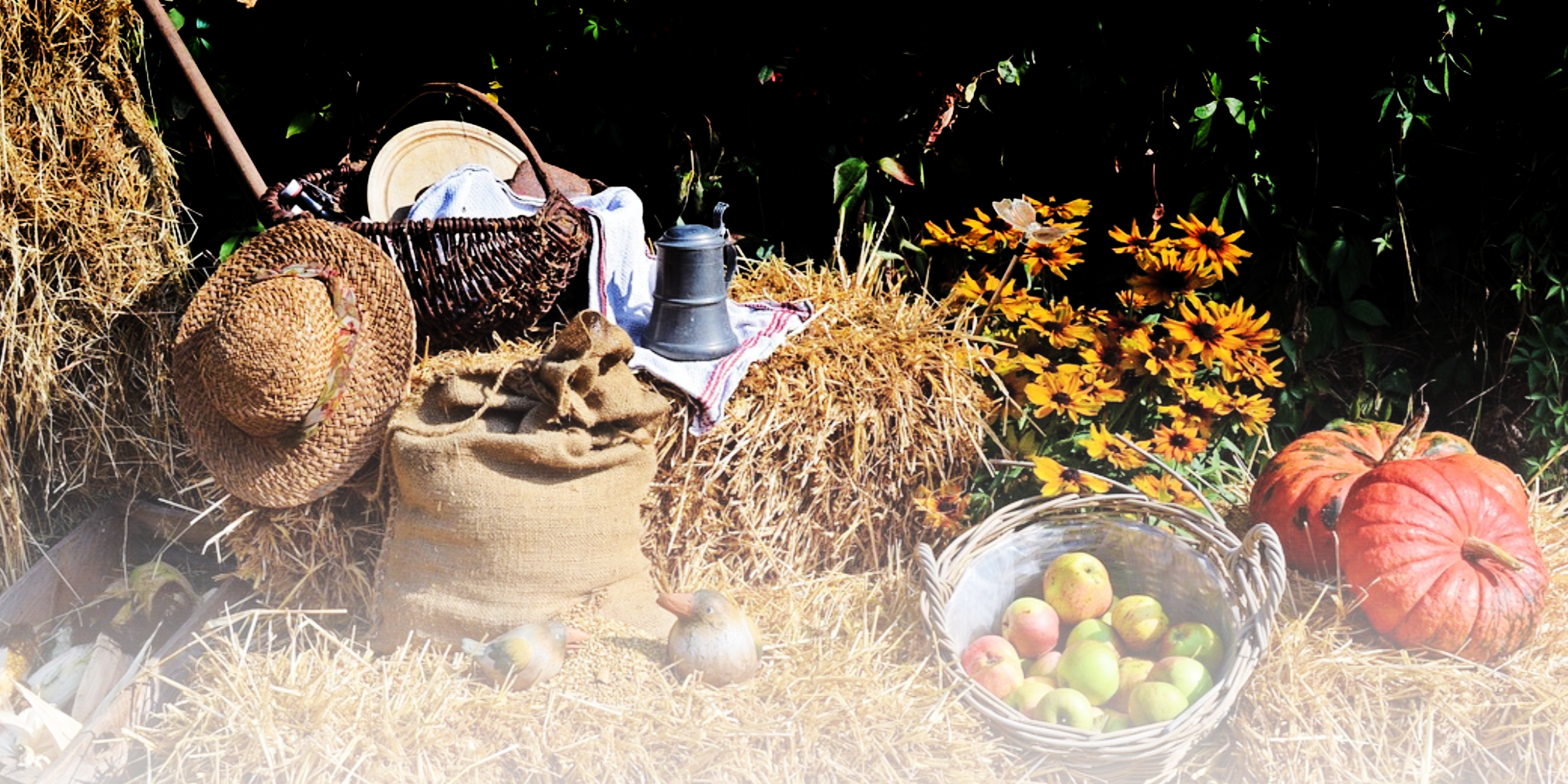 Festa sull'Aia