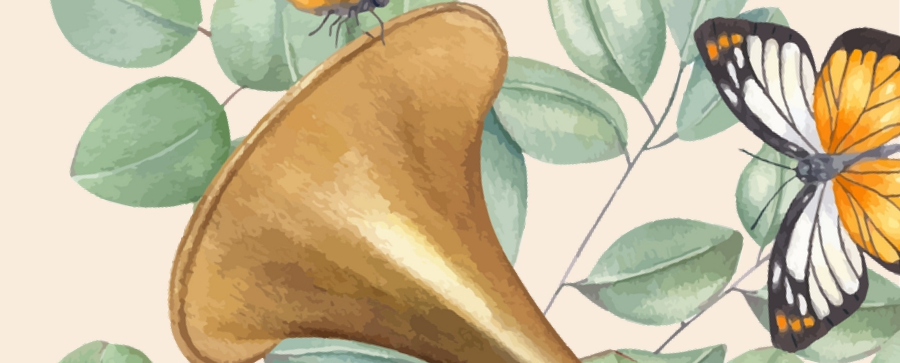 Concerto di Primavera