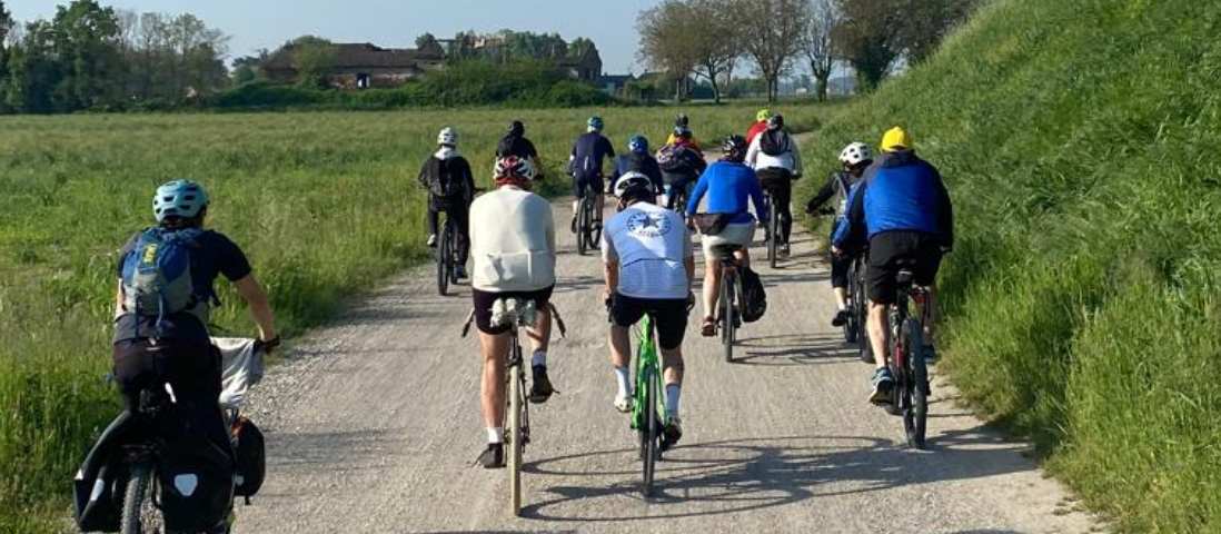 Sciame di biciclette