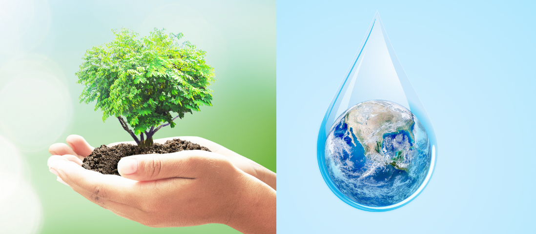 Acqua e Ambiente: Il ciclo dell'acqua 