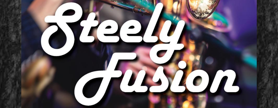 Live and in living color - Steely Fusion