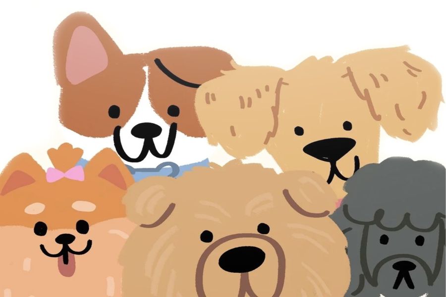 Traversetolo e i nostri amici a quattro zampe: Dog Day