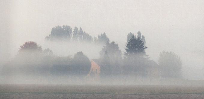 Il gusto delle storie: La casa grande