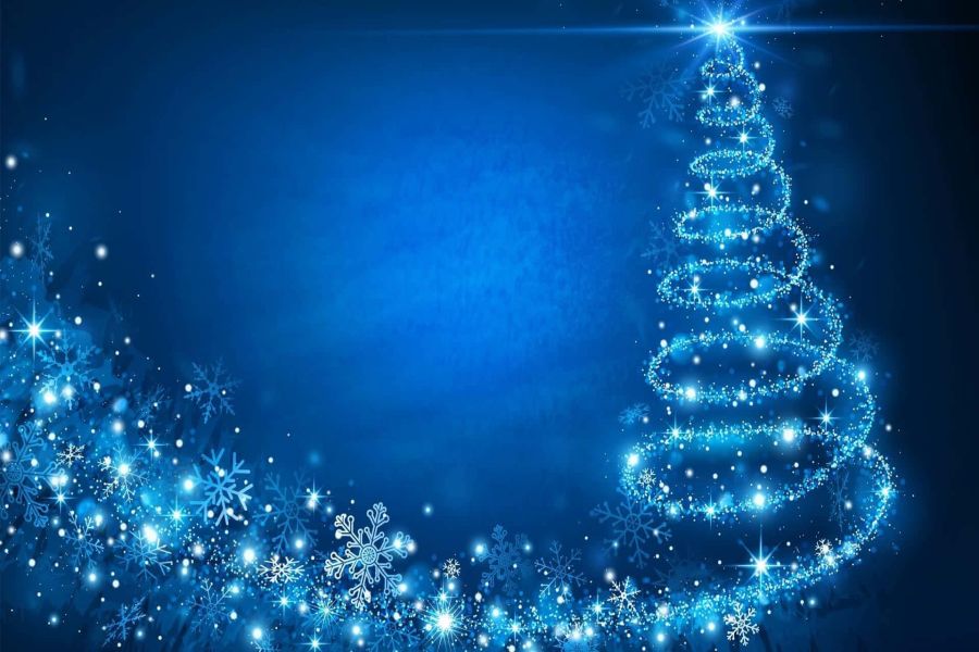 Aspettando il Natale, accese le luci dell'albero