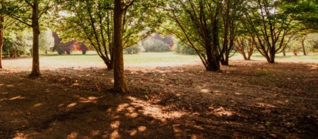 UNO: Un Parco, Un Pianeta, Un Futuro