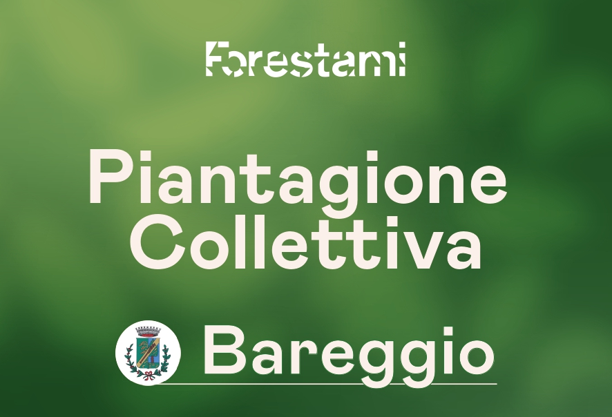 Piantagione collettiva: iscriviti anche tu!