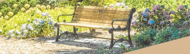 La Balena nel giardino