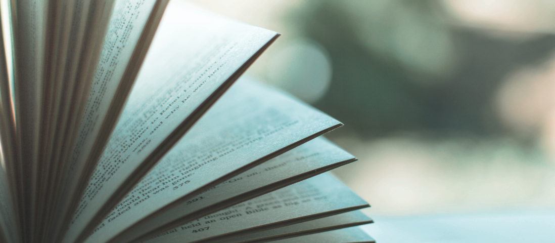 Presentazione del libro “Lupo solitario”