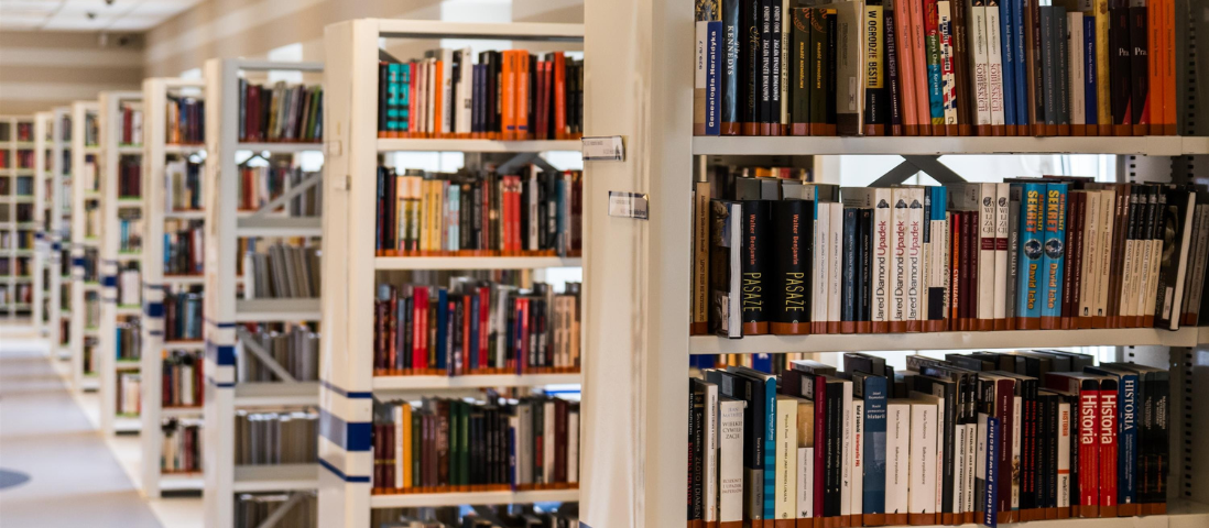 Il gusto delle storie: Il pensatore solitario