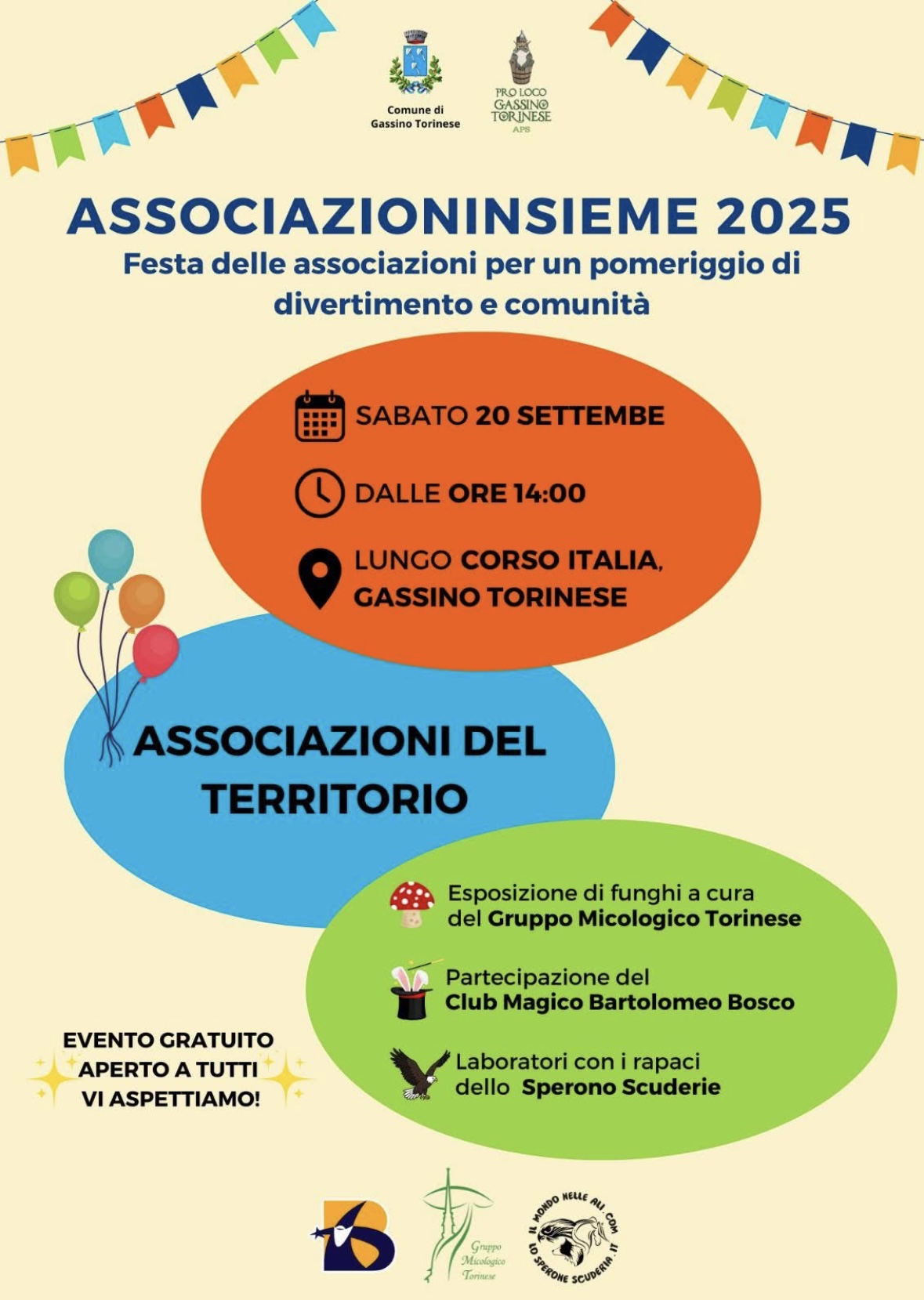 Associazioninsieme 2025
