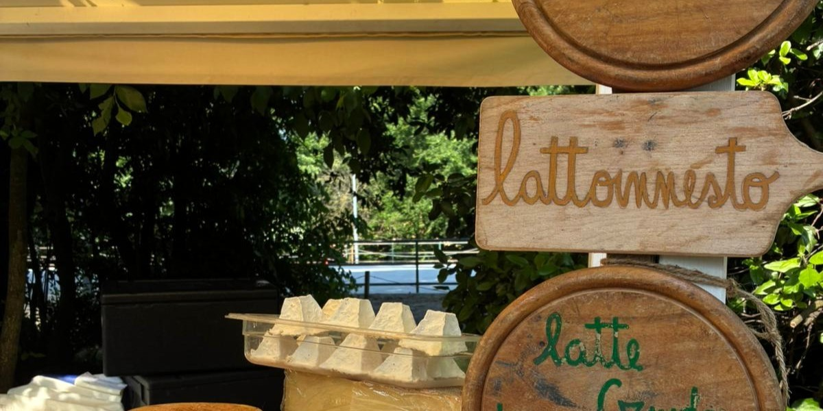 Di... Vin Formaggio 2026