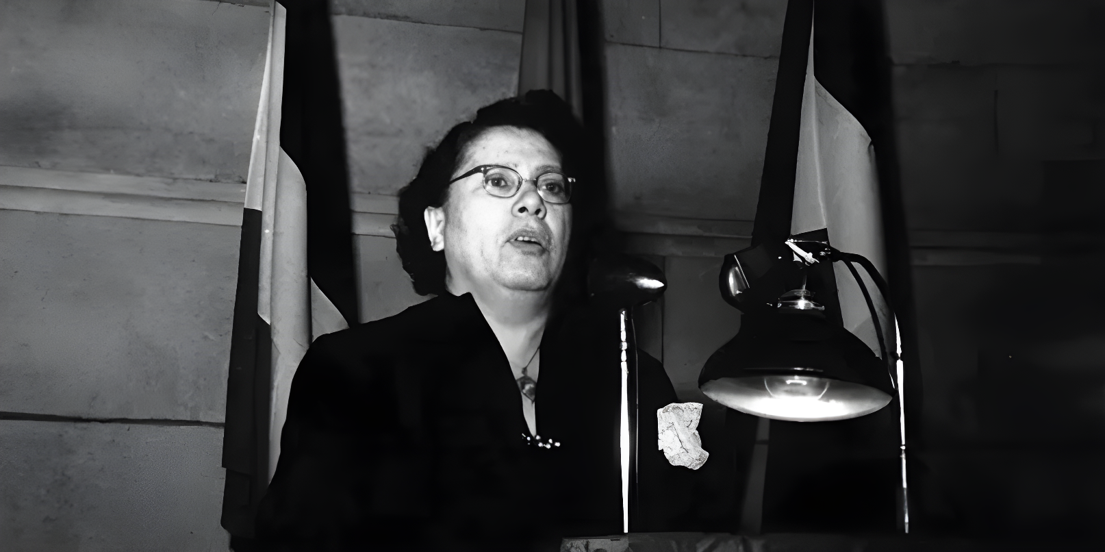 Estella. La vita straordinaria e dimenticata di Teresa Noce