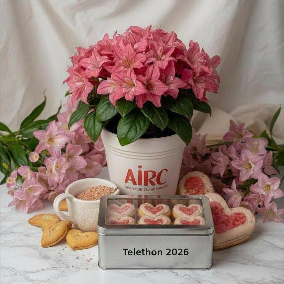 Airc e Telethon: per la festa della mamma, l'Azalea e i Cuori di biscotto. 