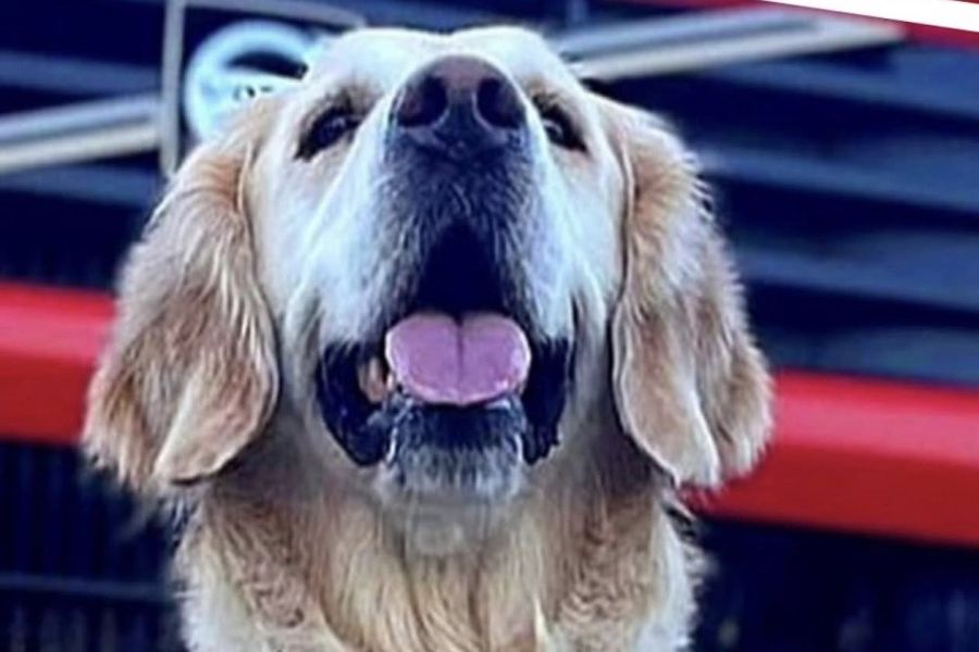 Presentazione del libro “Io & Morgana”