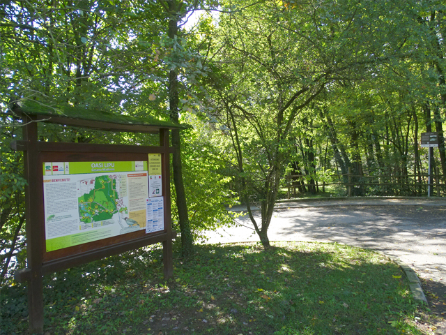percorso BOSCO