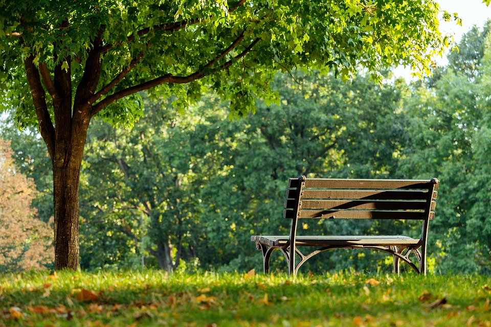 Parco Piccole Vittime dell'Olocausto