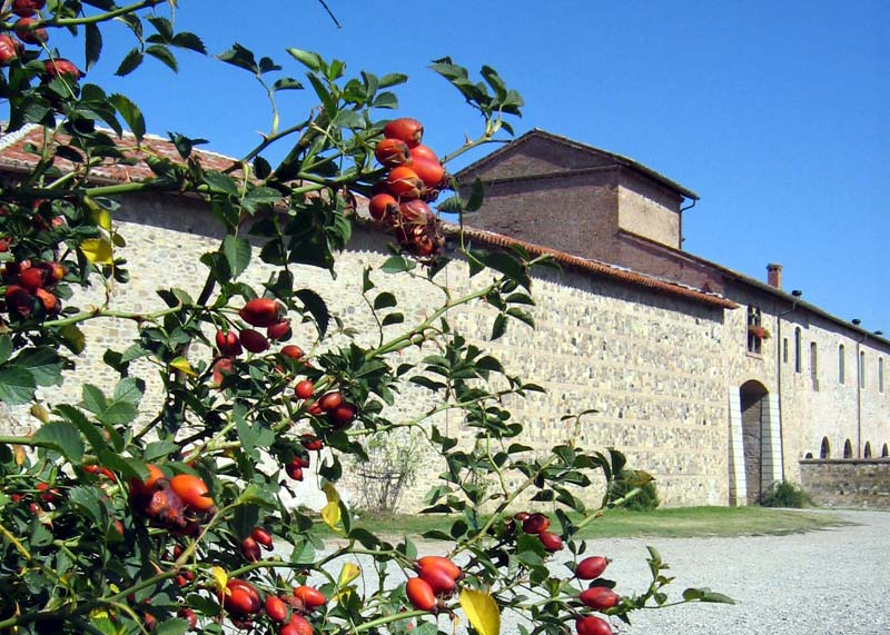 Corte di Giarola