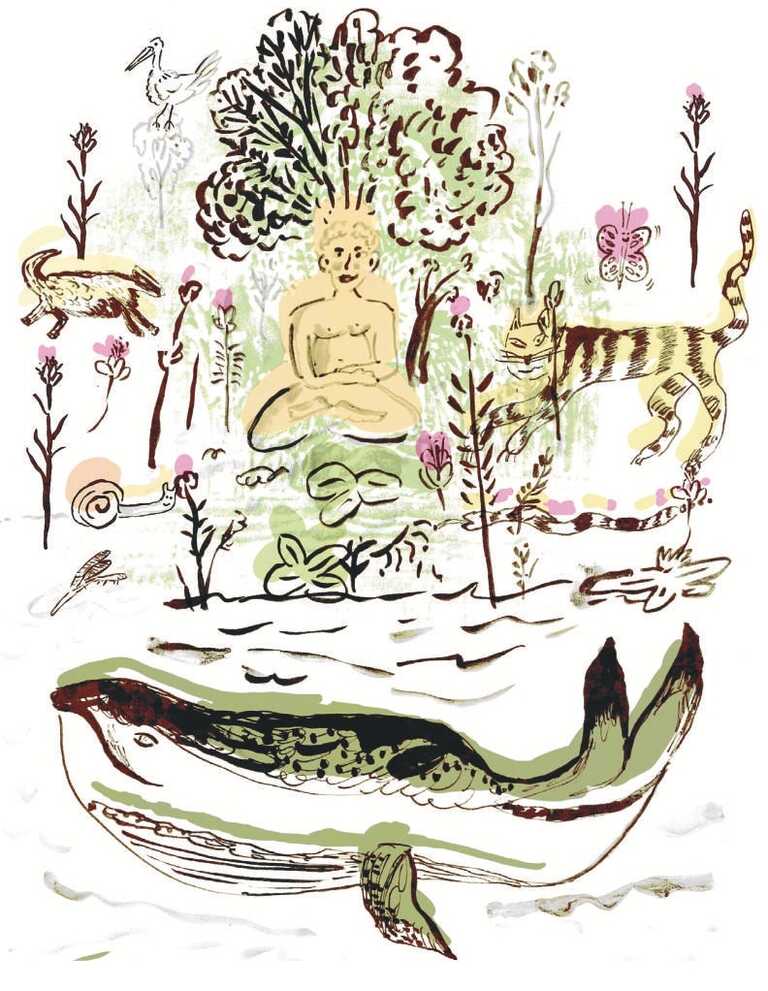 Meditare con gli animali<br/><em><small>Licenza di distribuzione: condivisione allo stesso modo - copyleft non compatibile</small></em>