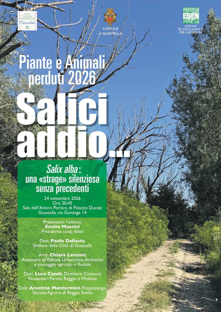 Locandina Incontro Salici Maestri Set 2026<br/><em><small>Licenza di distribuzione: Non opere derivate</small></em>