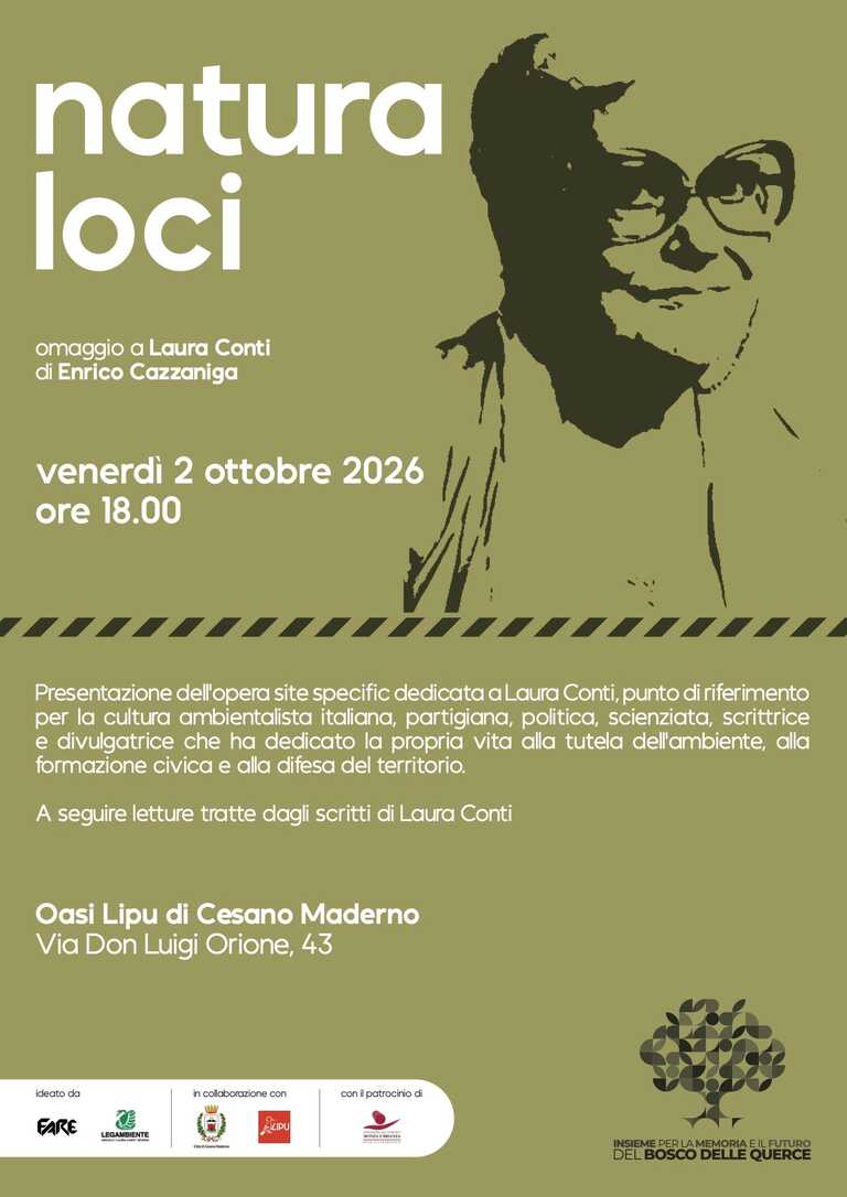 Locandina<br/><em><small>Licenza di distribuzione: Solo uso non commerciale</small></em>