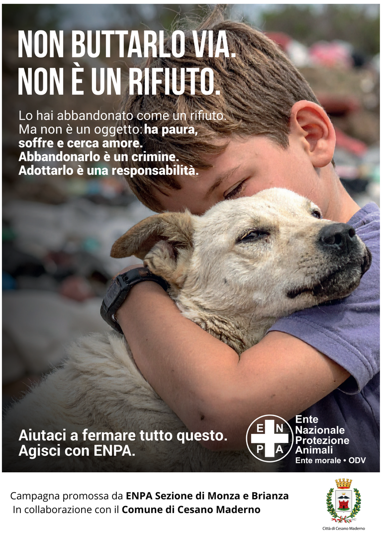 Locandina <br/><em><small>Licenza di distribuzione: Solo uso non commerciale</small></em>