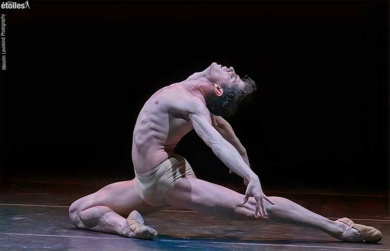 Bernal - Il Cigno<br/><em><small>Licenza di distribuzione: condivisione allo stesso modo - copyleft non compatibile</small></em>