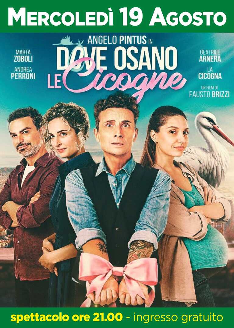 dove osano le cicogne<br/><em><small>Licenza di distribuzione: Non opere derivate</small></em>
