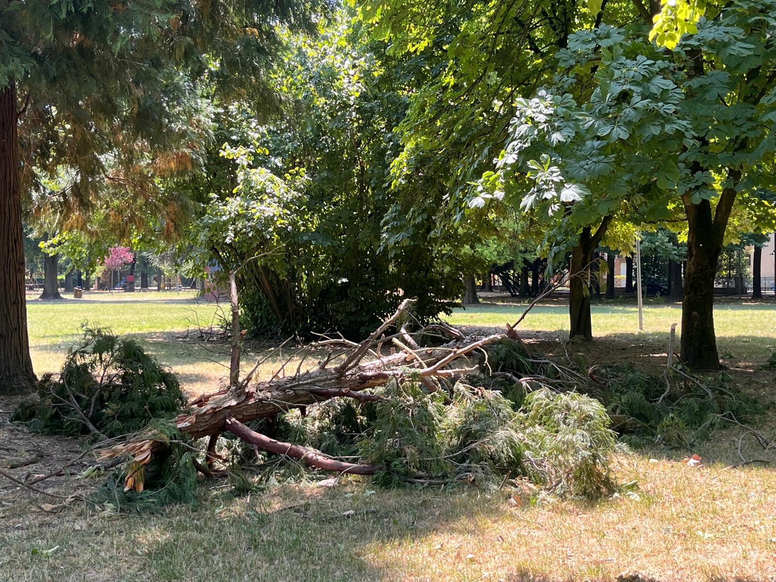 Ordinanza parchi e aree verdi
