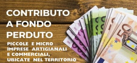 Bando Unico Territoriale II° annualità per assegnazione contributi alle piccole e micro imprese