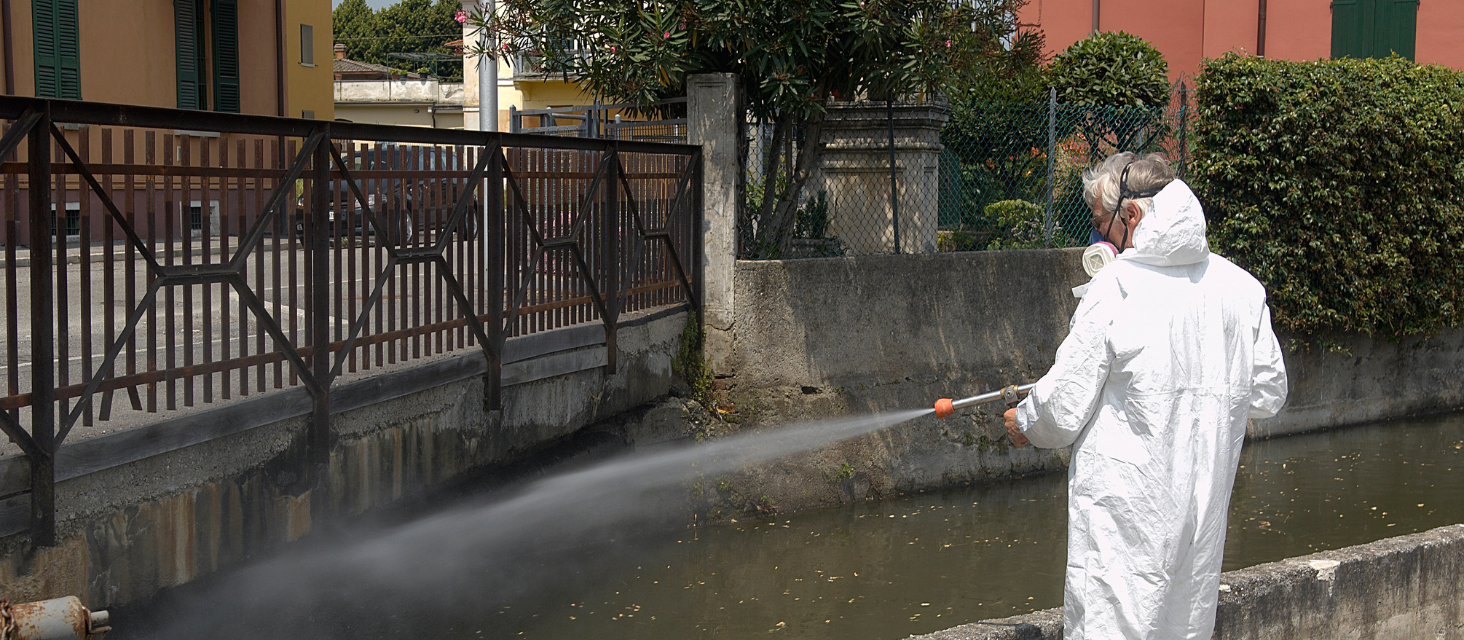 Prosegue la disinfestazione straordinaria per i casi di Chikungunya