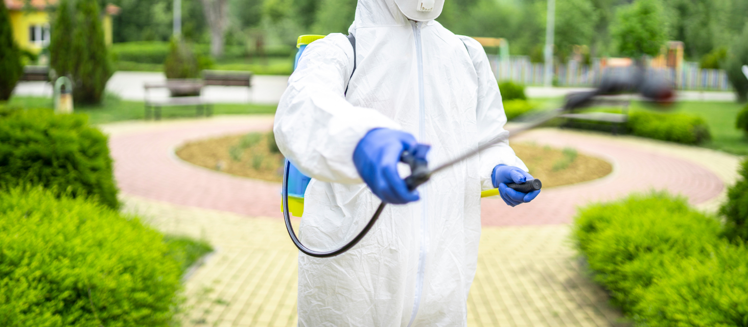 Ulteriori disinfestazioni straordinarie per sospetti casi di Chikungunya