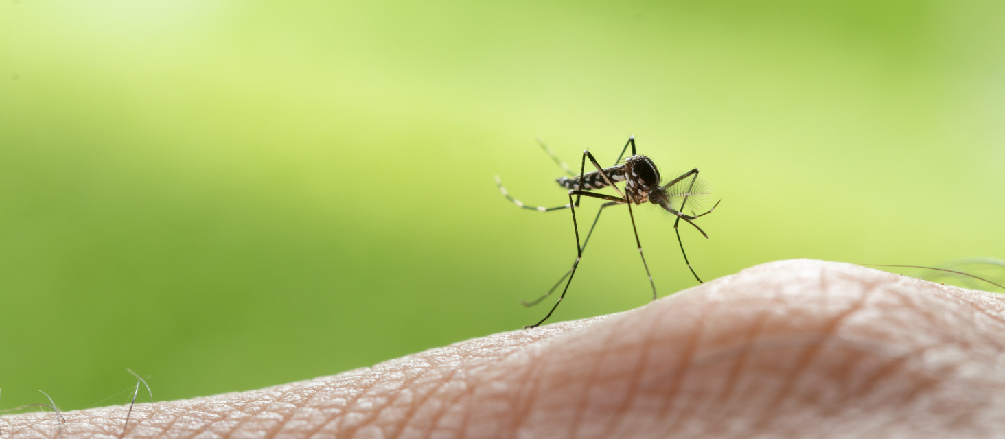 Disinfestazione straordinaria localizzata per sospetto caso di Chikungunya