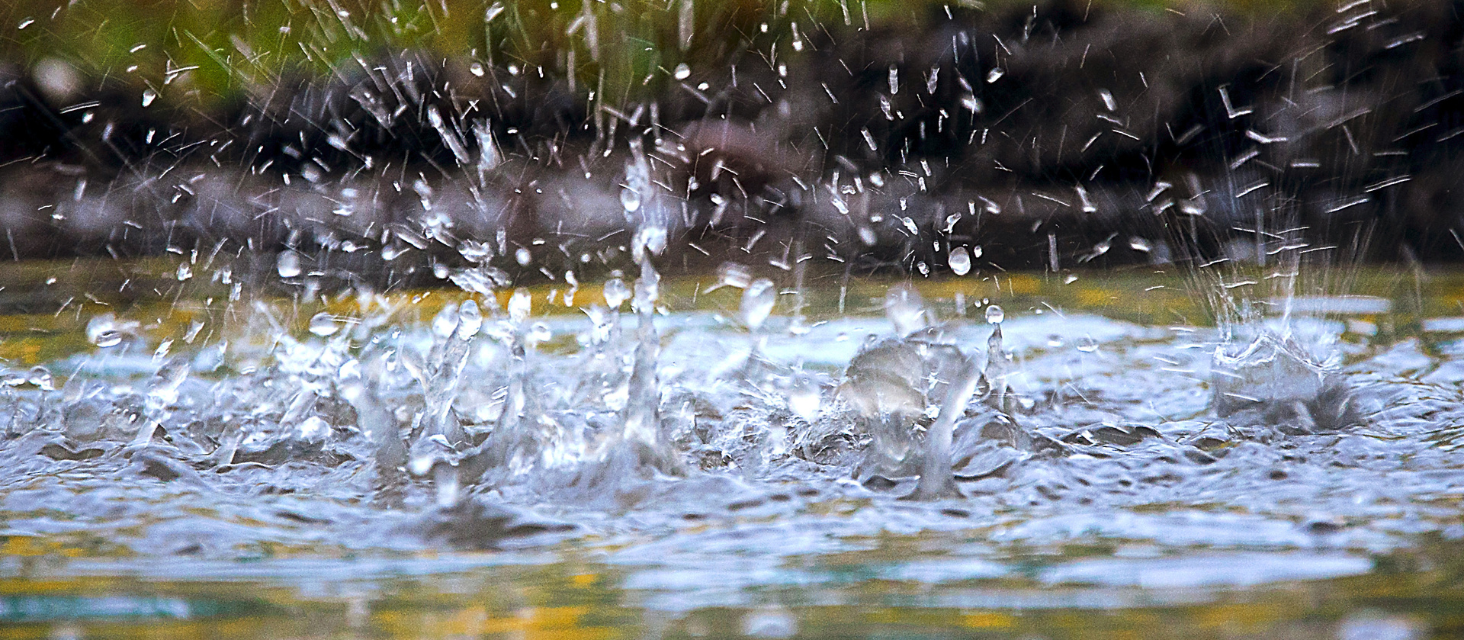 Allerta meteo a Carpi