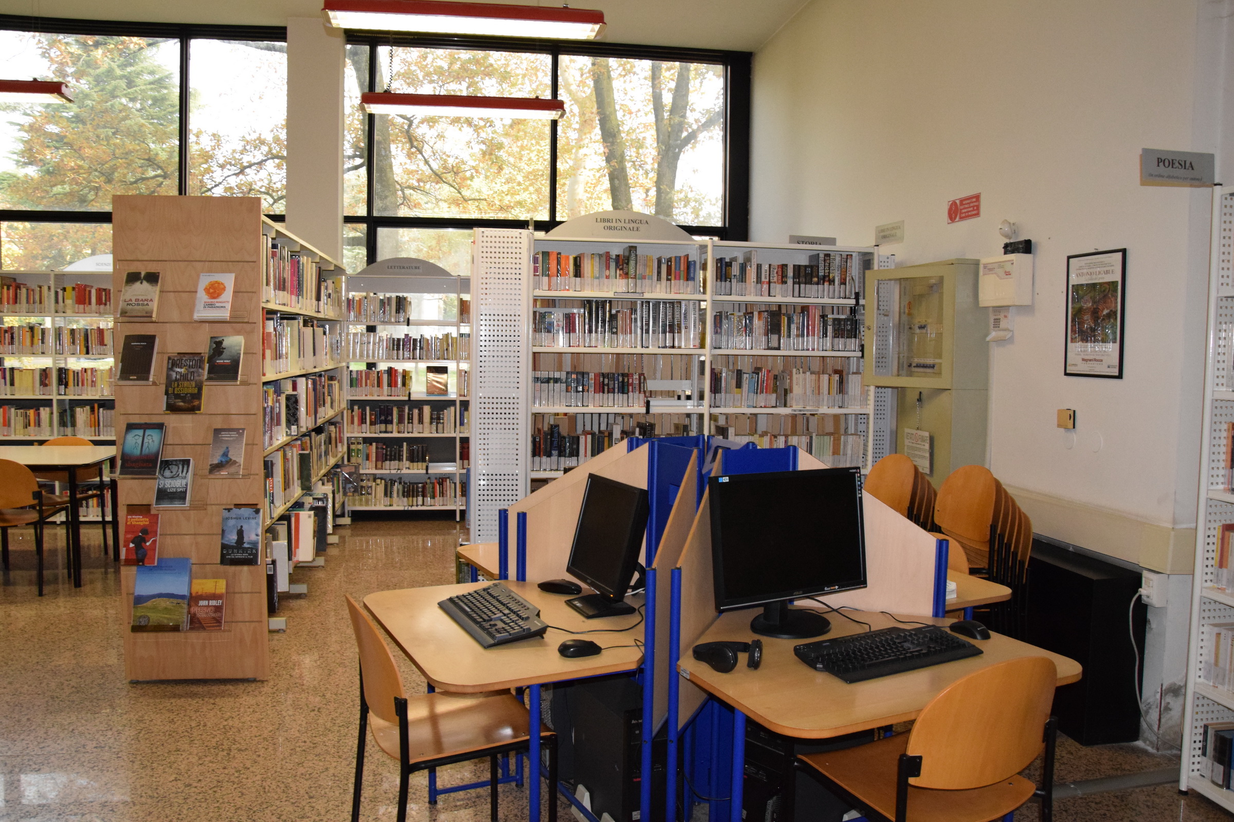 Giovani in biblioteca